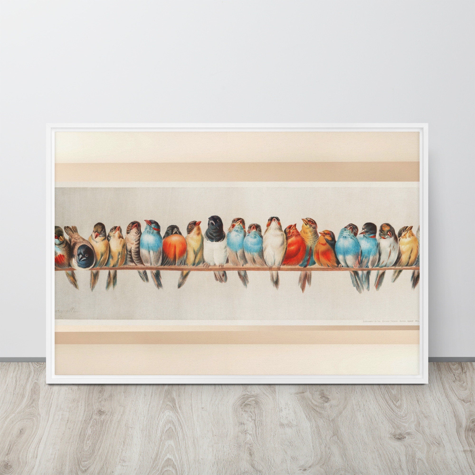 Beautifully framed print of birds in various colors by artist Hector Giacomelli